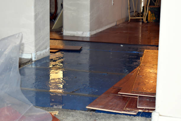 Professional Flood Cleanup technician working in Attica, OH